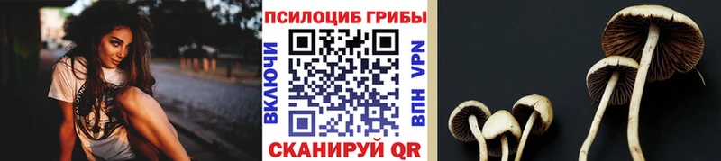 Псилоцибиновые грибы Cubensis  Шиханы 